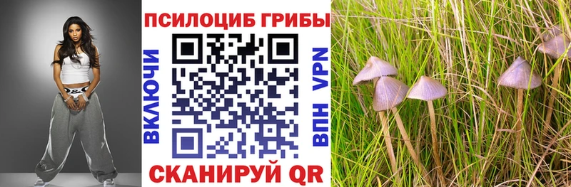 Псилоцибиновые грибы Cubensis  omg маркетплейс  Меленки  купить наркотики цена 